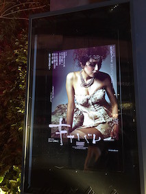 f:id:Magnoliarida:20170115224448j:image