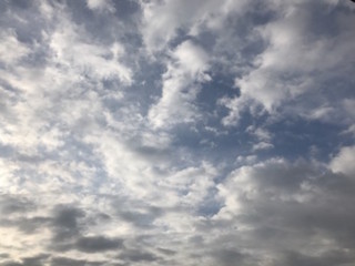 f:id:Magnoliarida:20170224115555j:image