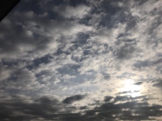 f:id:Magnoliarida:20170224115556j:image