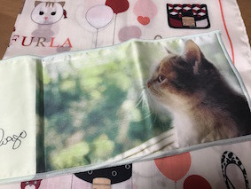 f:id:Magnoliarida:20170302140705j:image