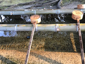 f:id:Magnoliarida:20170327003514j:image