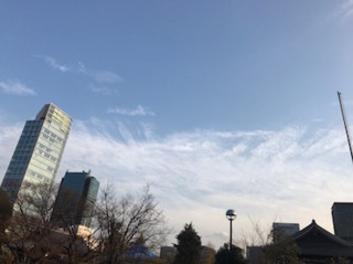 f:id:Magnoliarida:20170327003726j:image