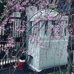 f:id:Magnoliarida:20170408235059j:image