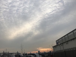 f:id:Magnoliarida:20170424162820j:image