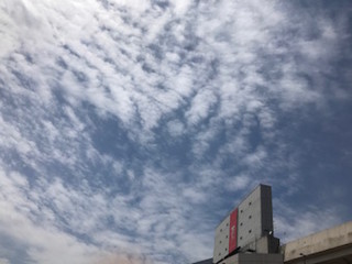 f:id:Magnoliarida:20170505104425j:image