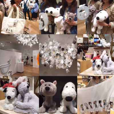 f:id:Magnoliarida:20170508143200j:image