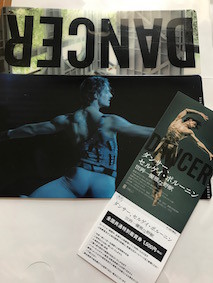 f:id:Magnoliarida:20170513014356j:image