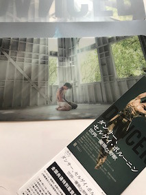 f:id:Magnoliarida:20170513014357j:image