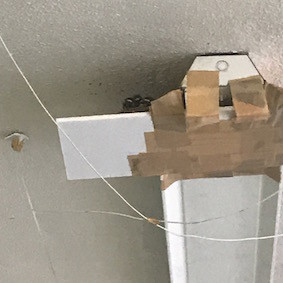 f:id:Magnoliarida:20170607154835j:image