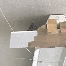 f:id:Magnoliarida:20170607154837j:image