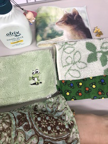 f:id:Magnoliarida:20170607164301j:image