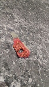 f:id:Magnoliarida:20170613141458j:image