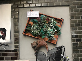 f:id:Magnoliarida:20170705011645j:image