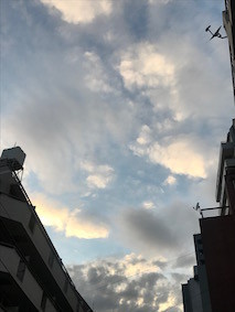 f:id:Magnoliarida:20170705011651j:image