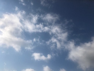 f:id:Magnoliarida:20170715142716j:image