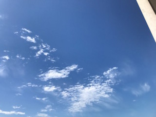 f:id:Magnoliarida:20170715142717j:image