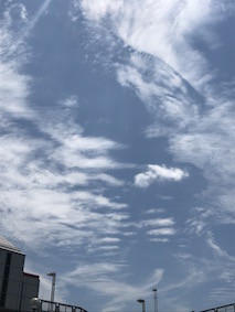 f:id:Magnoliarida:20170724144705j:image