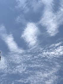 f:id:Magnoliarida:20170724144706j:image