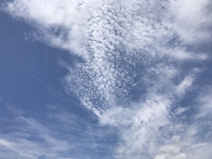 f:id:Magnoliarida:20170724144707j:image