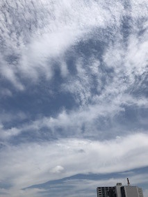 f:id:Magnoliarida:20170724144708j:image