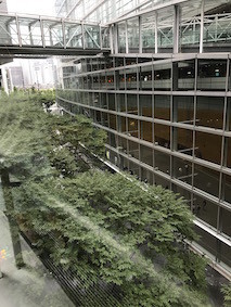 f:id:Magnoliarida:20170803142214j:image