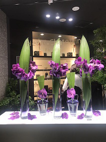 f:id:Magnoliarida:20170808122233j:image