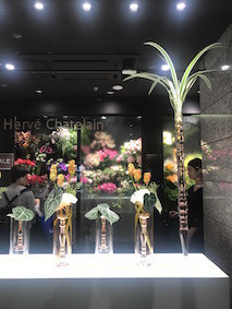 f:id:Magnoliarida:20170808122234j:image