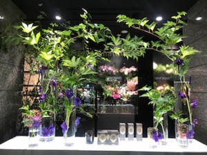 f:id:Magnoliarida:20170827103932j:image