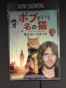 f:id:Magnoliarida:20170904012333j:image