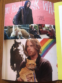 f:id:Magnoliarida:20170904012444j:image f:id:Magnoliarida:20170904012444j:image