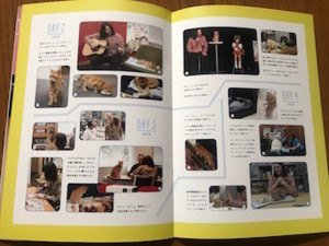 f:id:Magnoliarida:20170904012445j:image