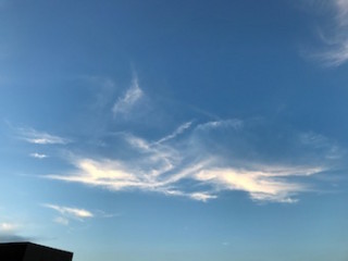 f:id:Magnoliarida:20171108004127j:image