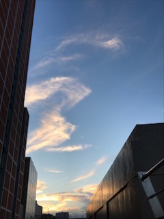 f:id:Magnoliarida:20171108004128j:image