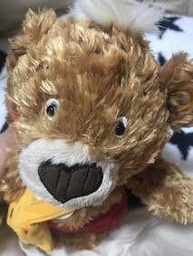 f:id:Magnoliarida:20171120141657j:image