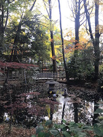 f:id:Magnoliarida:20171126222244j:image