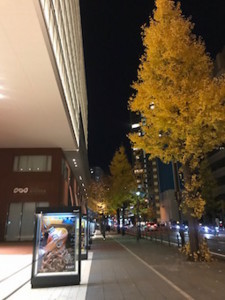 f:id:Magnoliarida:20171204000919j:image