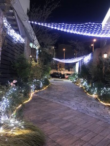 f:id:Magnoliarida:20171215000938j:image