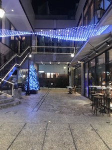 f:id:Magnoliarida:20171215000940j:image