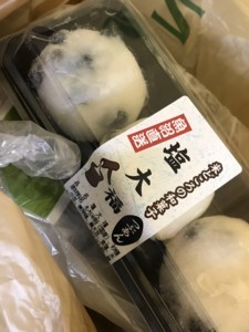 f:id:Magnoliarida:20180131014736j:image