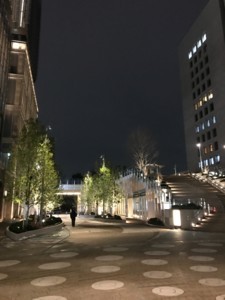 f:id:Magnoliarida:20180203011556j:image