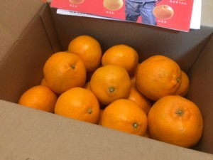 f:id:Magnoliarida:20180212002947j:image