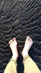 f:id:Magnoliarida:20180306170826j:image f:id:Magnoliarida:20180306170826j:image