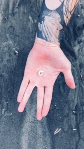 f:id:Magnoliarida:20180306170839j:image