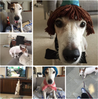 糸井さん家のブイヨン旅立つ ほらほらコーヒーが冷めちゃってるよ 2