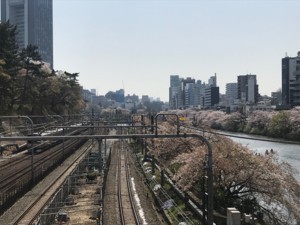 f:id:Magnoliarida:20180331223457j:image