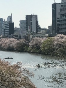 f:id:Magnoliarida:20180331223458j:image