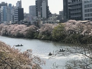 f:id:Magnoliarida:20180331223459j:image