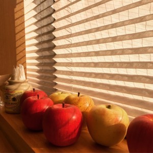 f:id:Magnoliarida:20180331223515j:image