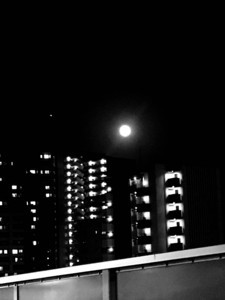 f:id:Magnoliarida:20180331223522j:image