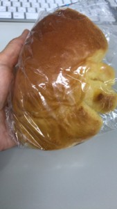 f:id:Magnoliarida:20180409172227j:image